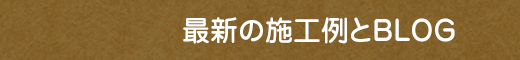 新着情報